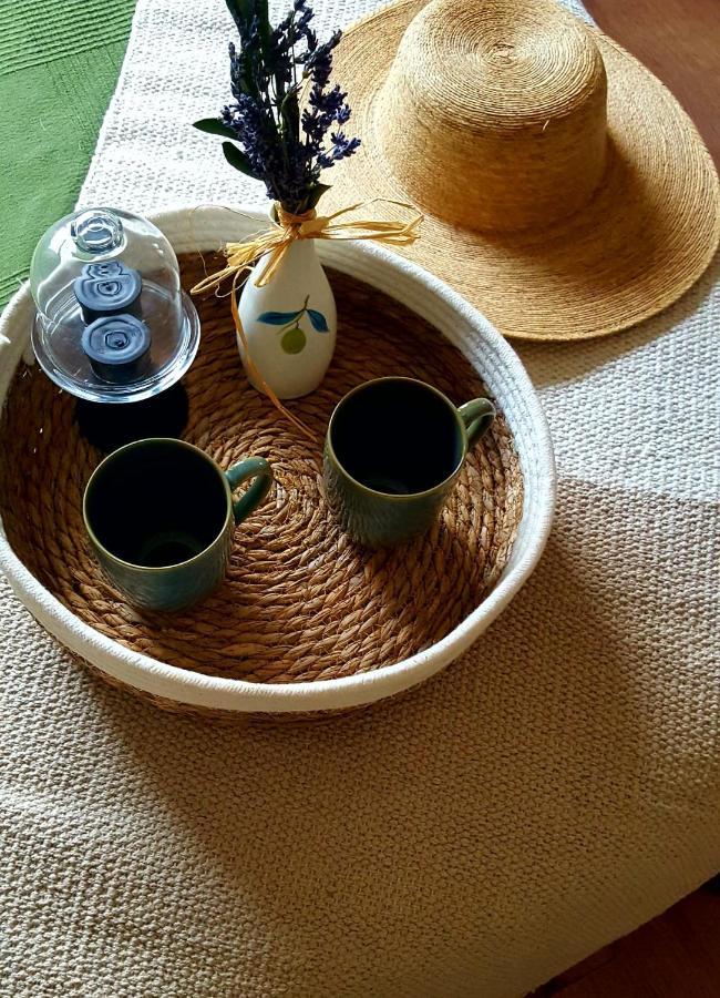 Quintinha Do Sal - Casa Das Flores Alcácer do Sal Extérieur photo