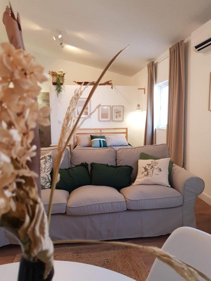 Quintinha Do Sal - Casa Das Flores Alcácer do Sal Extérieur photo